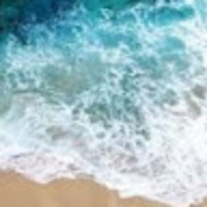 Meet your Posher, Annabel